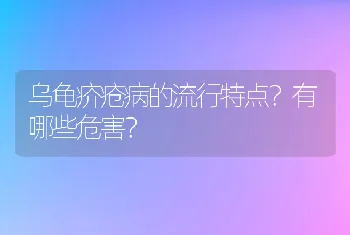 乌龟疥疮病的流行特点？有哪些危害？