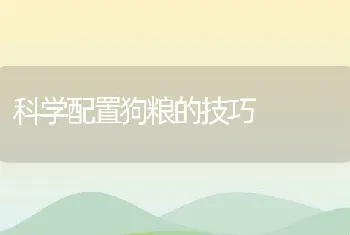 科学配置狗粮的技巧