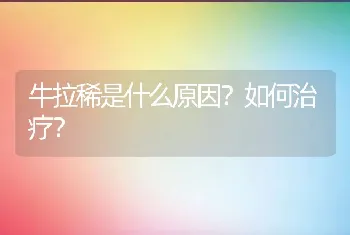 牛拉稀是什么原因？如何治疗？