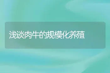 浅谈肉牛的规模化养殖