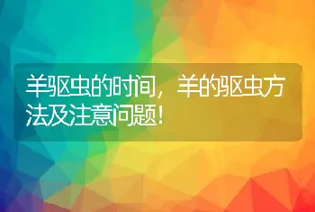 羊驱虫的时间，羊的驱虫方法及注意问题！