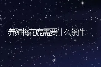 养殖梅花鹿需要什么条件