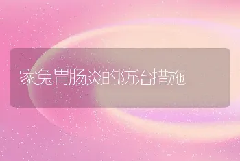 家兔胃肠炎的防治措施