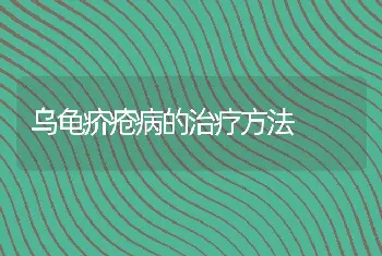 乌龟疥疮病的治疗方法