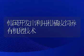 韩国开发出利用柑橘皮饲养有机猪技术