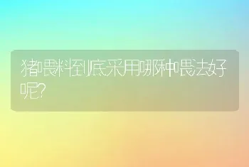 猪喂料到底采用哪种喂法好呢？