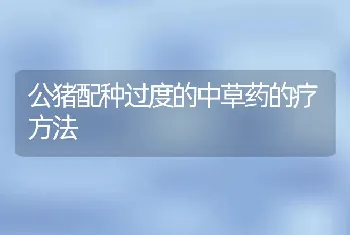 公猪配种过度的中草药的疗方法