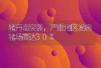 猪丹毒突袭，严重地区发病猪场高达30%