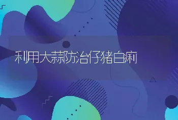 利用大蒜防治仔猪白痢