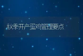 秋季开产蛋鸡管理要点