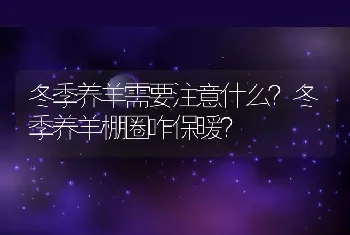 冬季养羊需要注意什么？冬季养羊棚圈咋保暖？