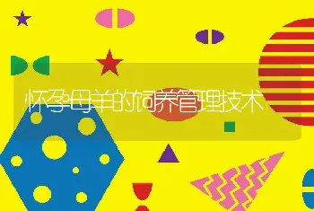 普鲁卡因封闭疗法速治鸵鸟关节肿大