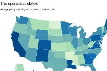 在美国，平均6秒就有宠主收到3000美元的宠物医疗账单