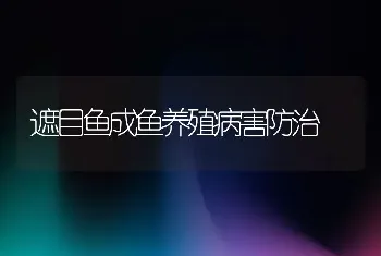 遮目鱼成鱼养殖病害防治