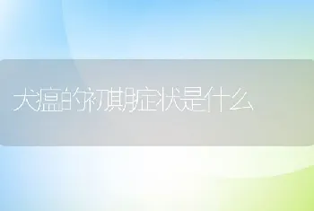 犬瘟的初期症状是什么