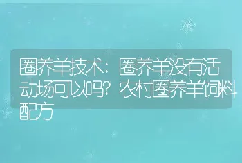 圈养羊技术:圈养羊没有活动场可以吗?农村圈养羊饲料配方