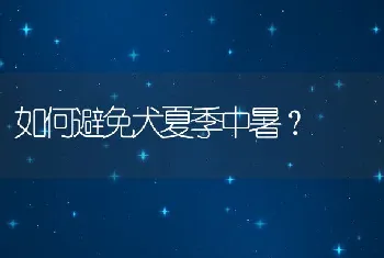 如何避免犬夏季中暑？