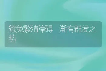 獭兔繁殖障碍 渐有群发之势