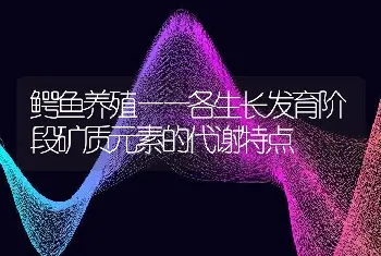 鳄鱼养殖——各生长发育阶段矿质元素的代谢特点