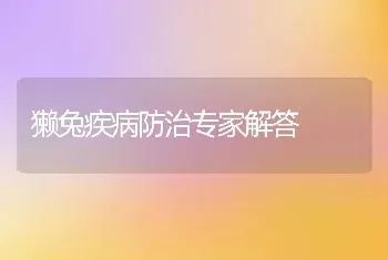 獭兔疾病防治专家解答