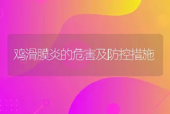 鸡滑膜炎的危害及防控措施