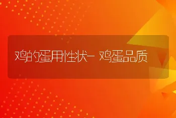 鸡的蛋用性状-鸡蛋品质