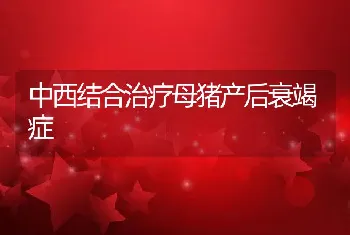 中西结合治疗母猪产后衰竭症