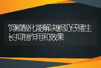 饲粮酸化能解决断奶仔猪生长抑制作用和效果