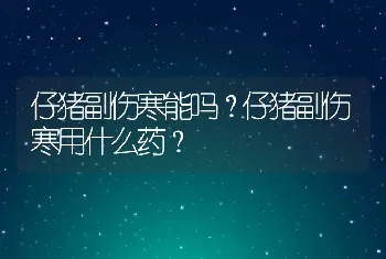 仔猪副伤寒能吗？仔猪副伤寒用什么药？