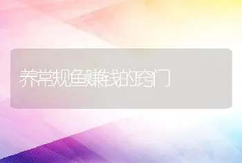 养常规鱼赚钱的窍门