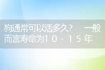 狗通常可以活多久？ 一般而言寿命为10-15年