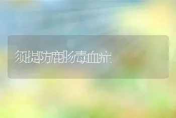 须提防鹿肠毒血症