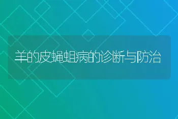 羊的皮蝇蛆病的诊断与防治