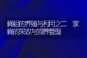 蝇蛆的养殖与利用之二 家蝇的采收与饲养管理