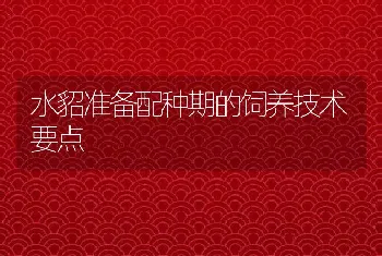 水貂准备配种期的饲养技术要点