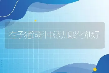 在子猪饲料中添加酸化剂好