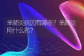 羊肺炎病因有哪些？羊肺炎用什么药？