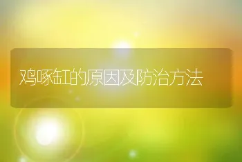 鸡啄缸的原因及防治方法