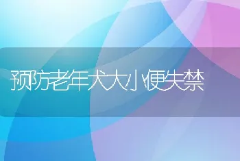 预防老年犬大小便失禁