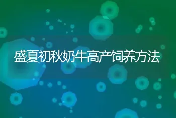 盛夏初秋奶牛高产饲养方法