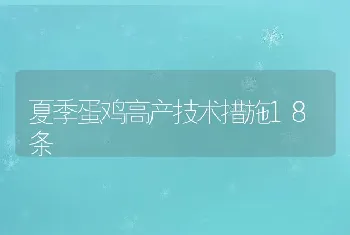 夏季蛋鸡高产技术措施18条