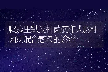 鸭疫里默氏杆菌病和大肠杆菌病混合感染的诊治