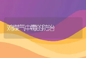 鸡煤气中毒的防治