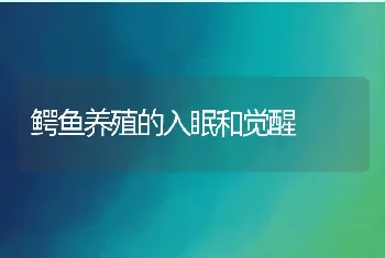 鳄鱼养殖的入眠和觉醒