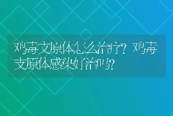 鸡毒支原体怎么治疗?鸡毒支原体感染好治吗?