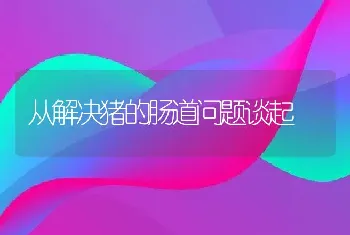 从解决猪的肠道问题谈起