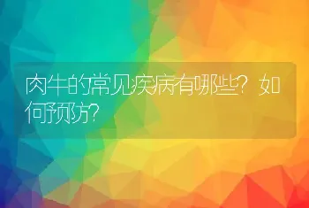 肉牛的常见疾病有哪些？如何预防？