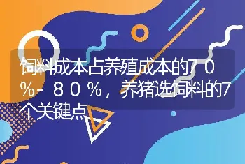 饲料成本占养殖成本的70%-80%，养猪选饲料的7个关键点