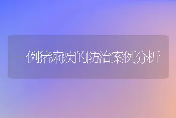 一例猪痢疾的防治案例分析