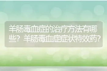 羊肠毒血症的治疗方法有哪些？羊肠毒血症症状特效药？